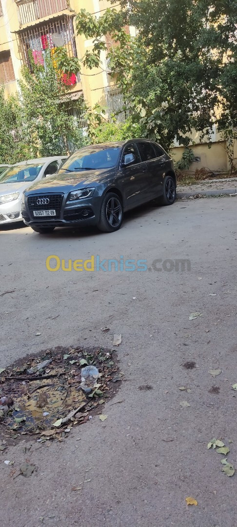 Audi Q5 2012 Sline