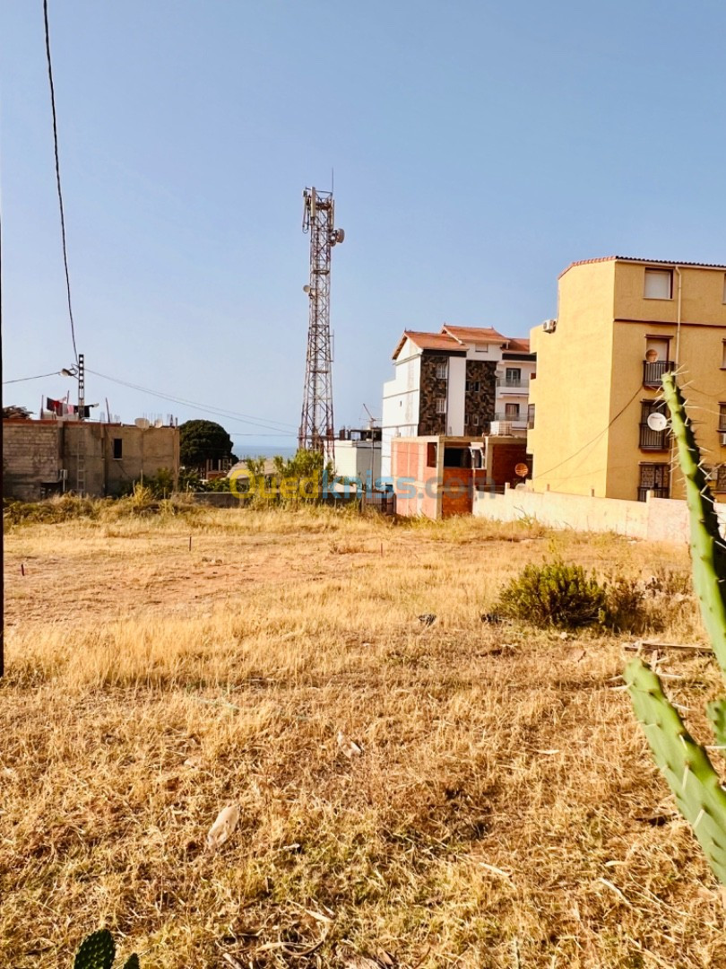 Vente Terrain Boumerdès Zemmouri