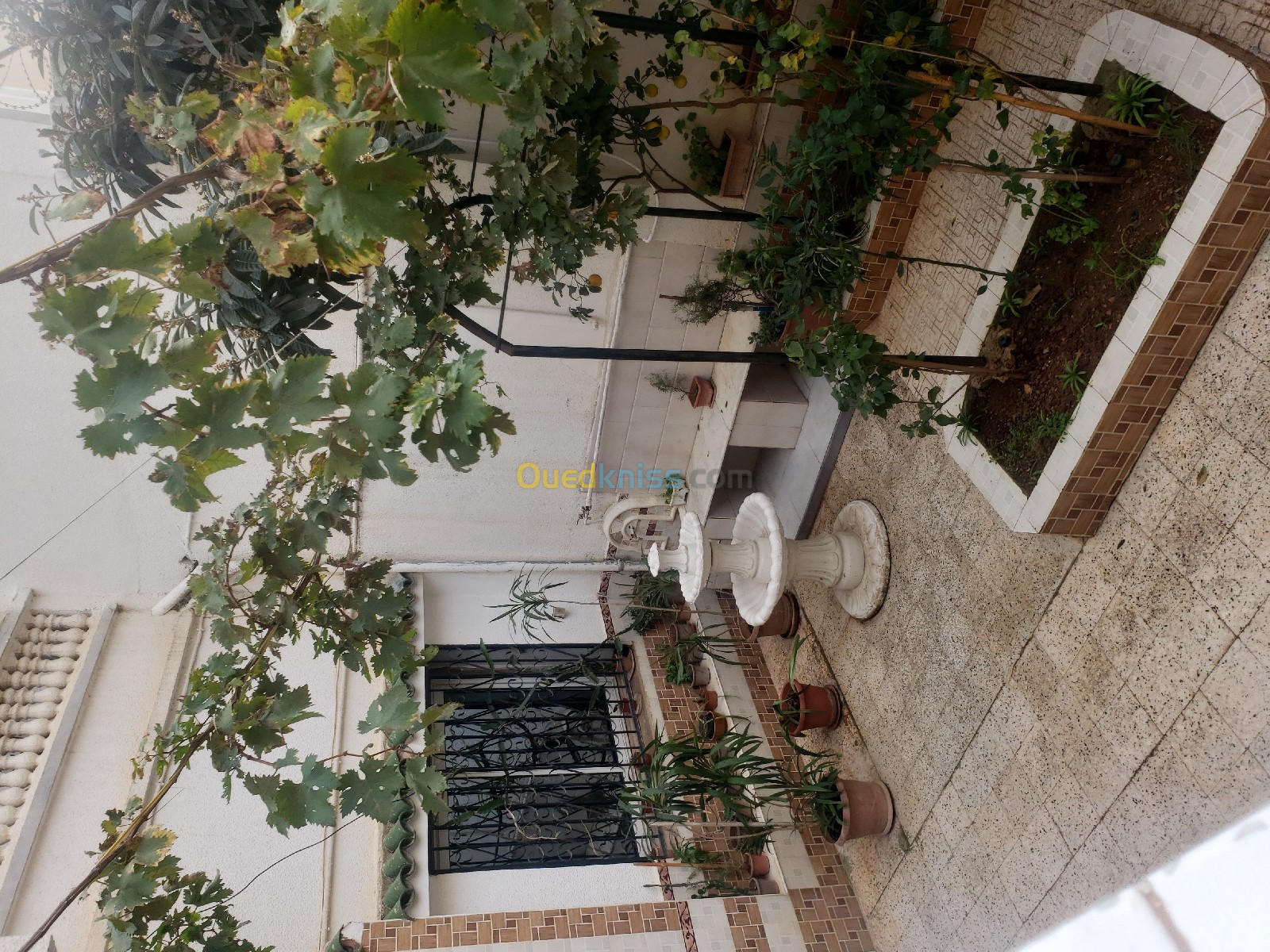 Vente Villa Alger Bordj el kiffan