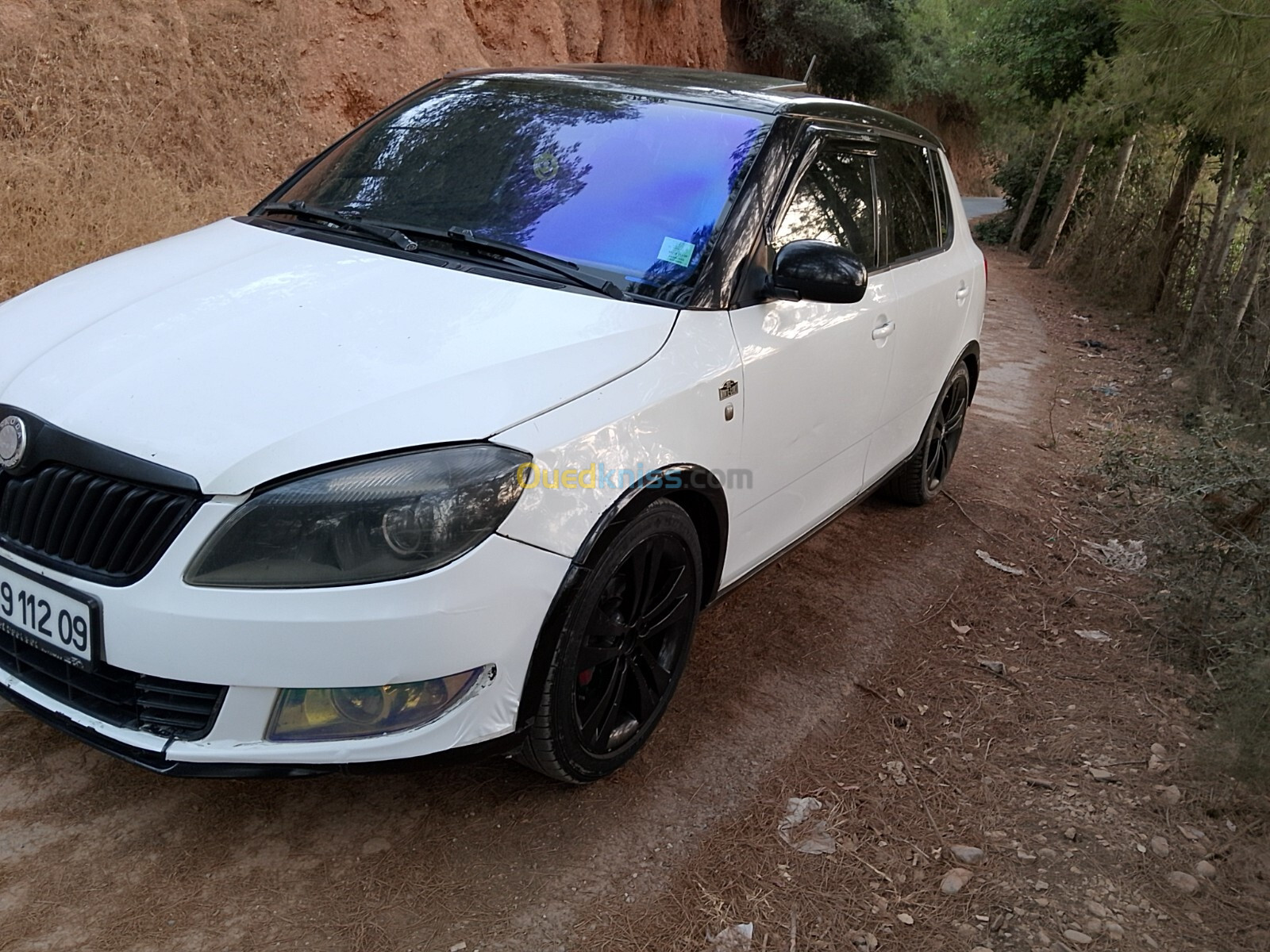 Skoda Fabia 2012 mote carlio