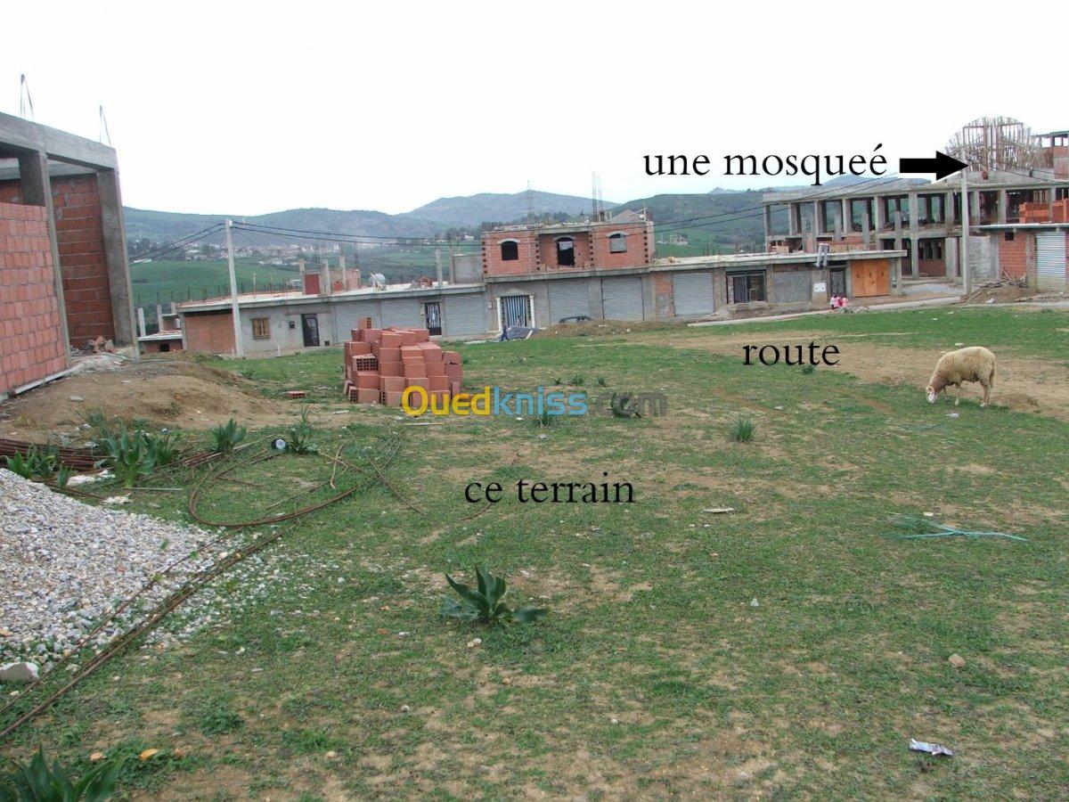 Vente Terrain Jijel Kaous