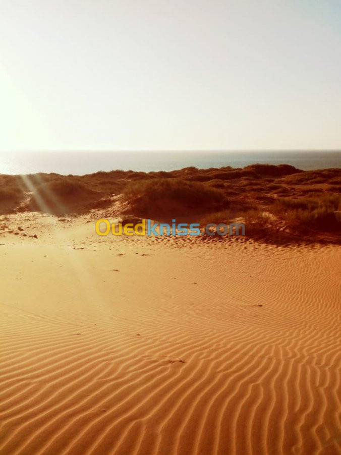 Vente Terrain Mostaganem Abdelmalek ramdane