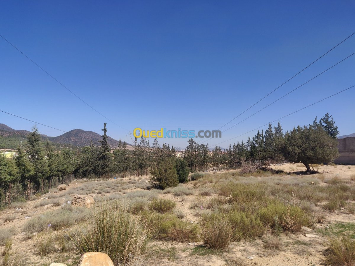 Vente Terrain Batna Batna