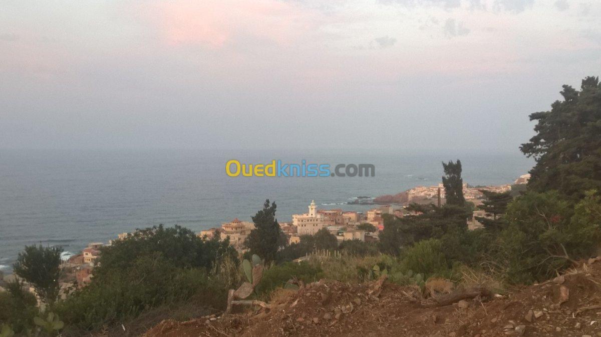 Vente Terrain Tipaza Tipaza