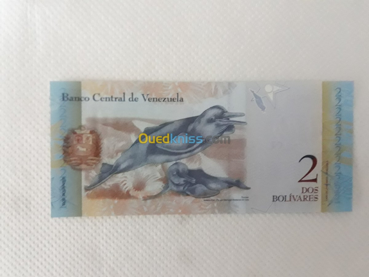 billets de banque venezuela