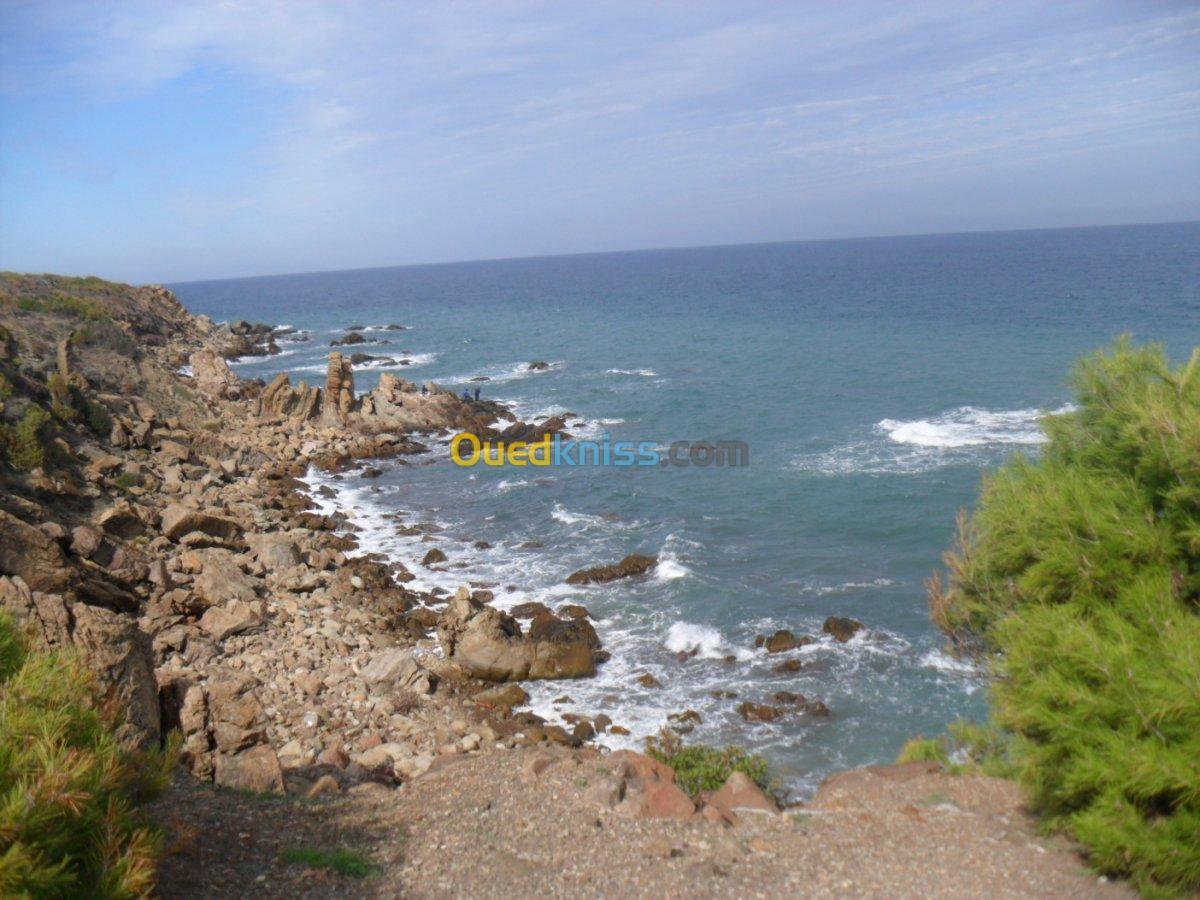 Vente Terrain Tipaza Larhat