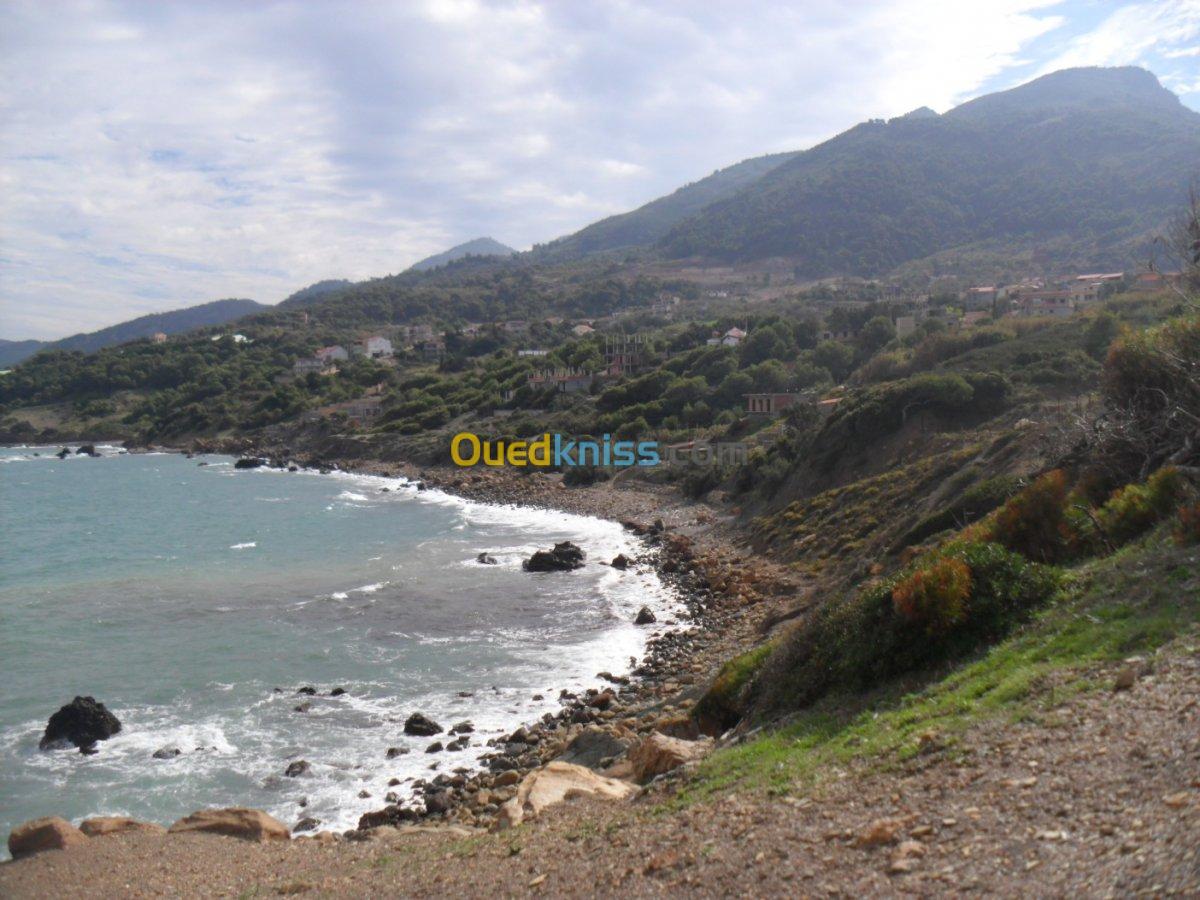 Vente Terrain Tipaza Larhat