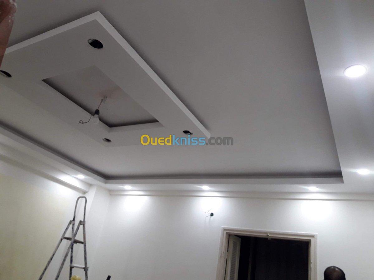 Placo plaitre-faux plafond en pvc