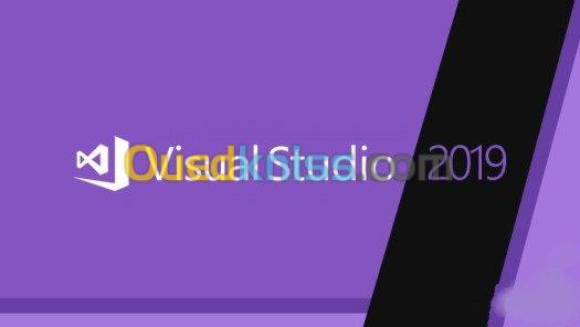  License Visual Studio Professional 19/22/