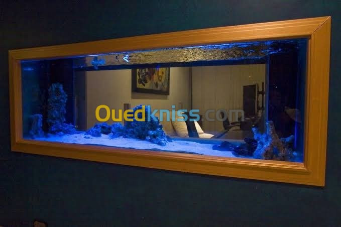 Fabrication et entretien des aquarium 