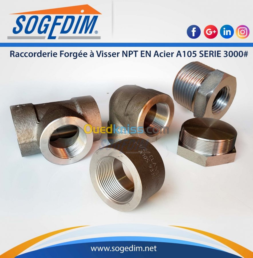 Raccorderie Forgée à Visser NPT EN Aci