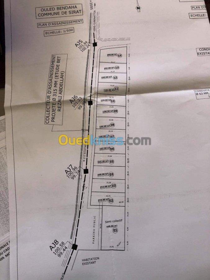 Vente Terrain Mostaganem Sirat