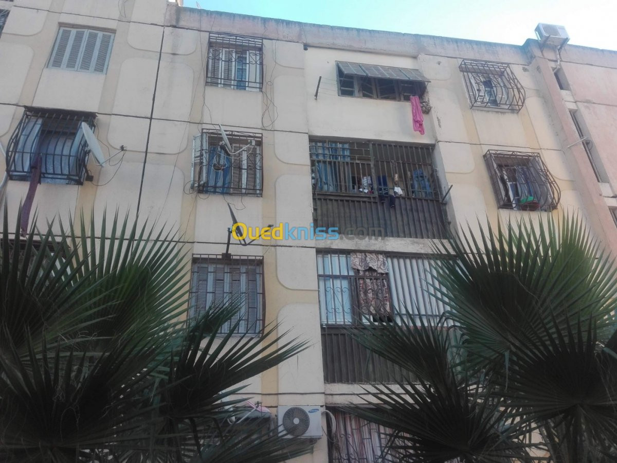 Vente Appartement F3 Blida Boufarik