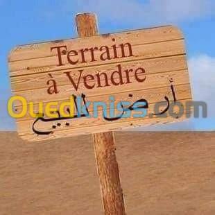 Vente Terrain Djelfa Hassi fedoul