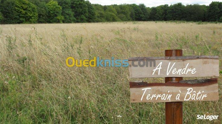 Vente Terrain Setif Ain oulmene