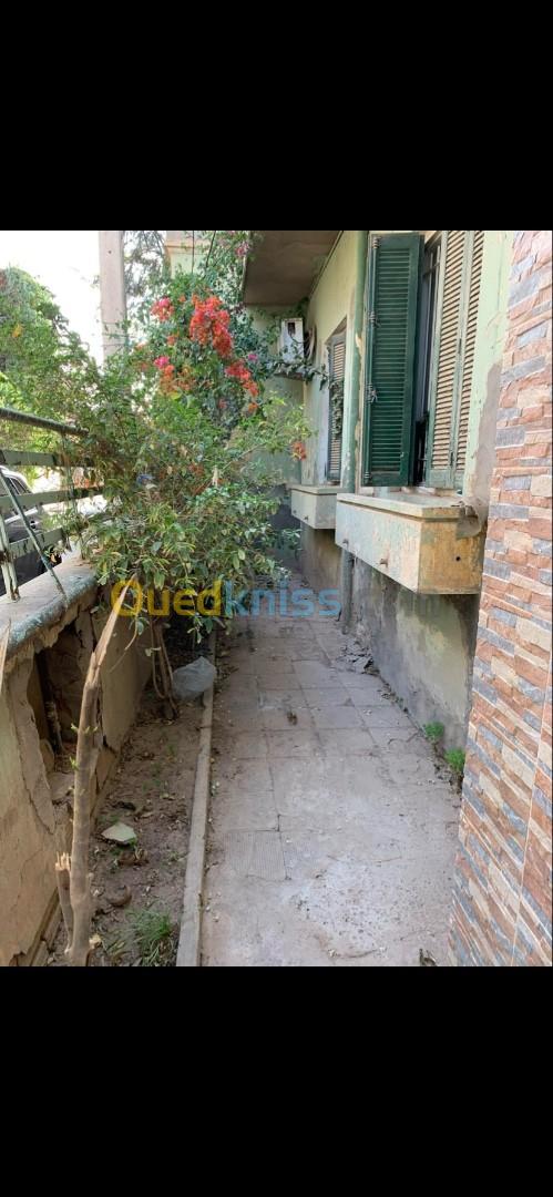 Location Niveau De Villa F4 Sidi Bel Abbès Sidi bel abbes