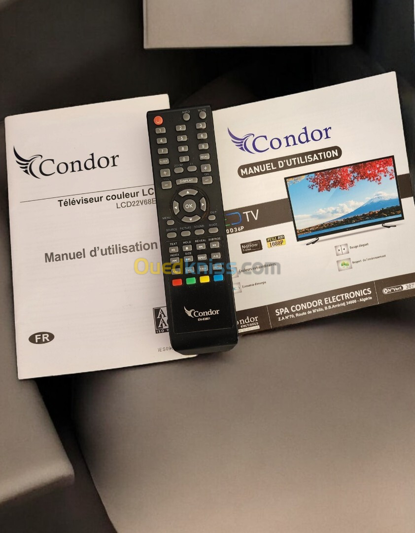 Occasion Téléviseur Télévision Condor TV 43 pouces د.ج22,000.00