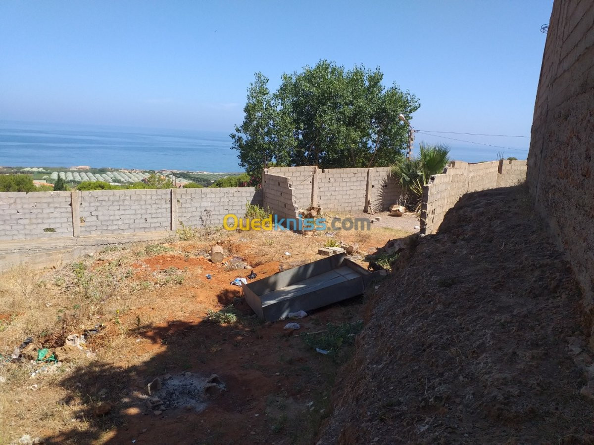 Vente Terrain Tipaza Bou ismail