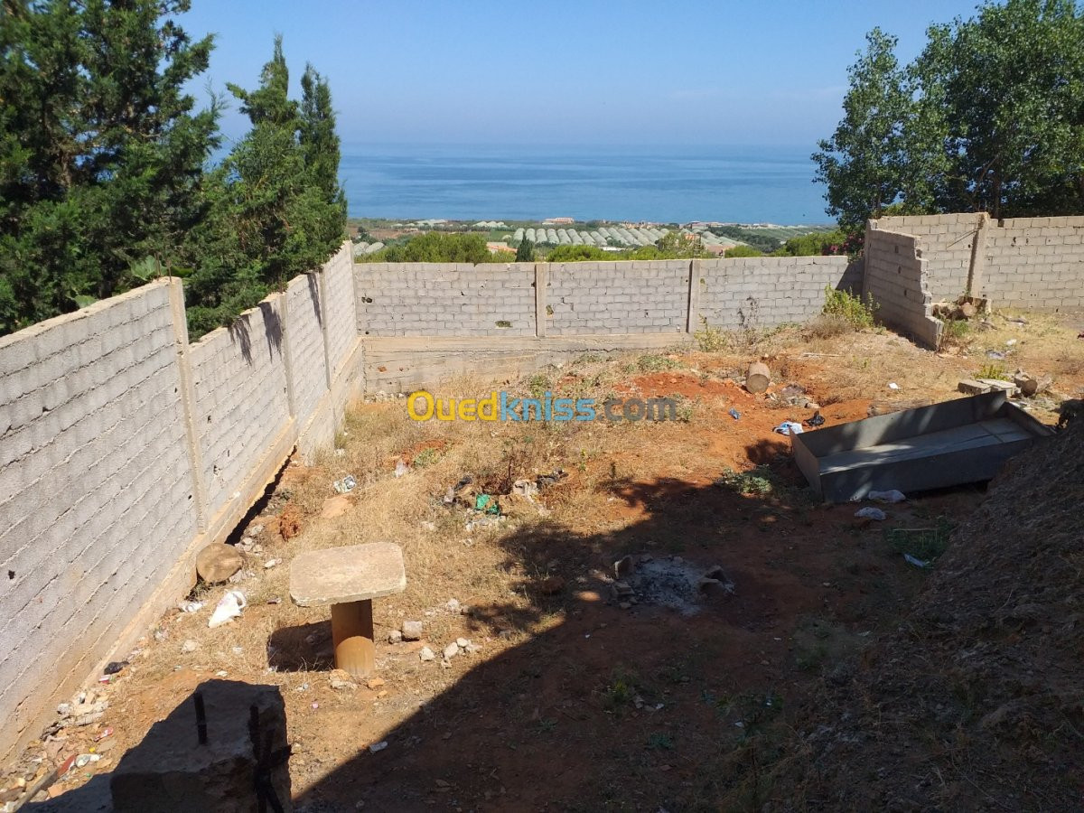 Vente Terrain Tipaza Bou ismail