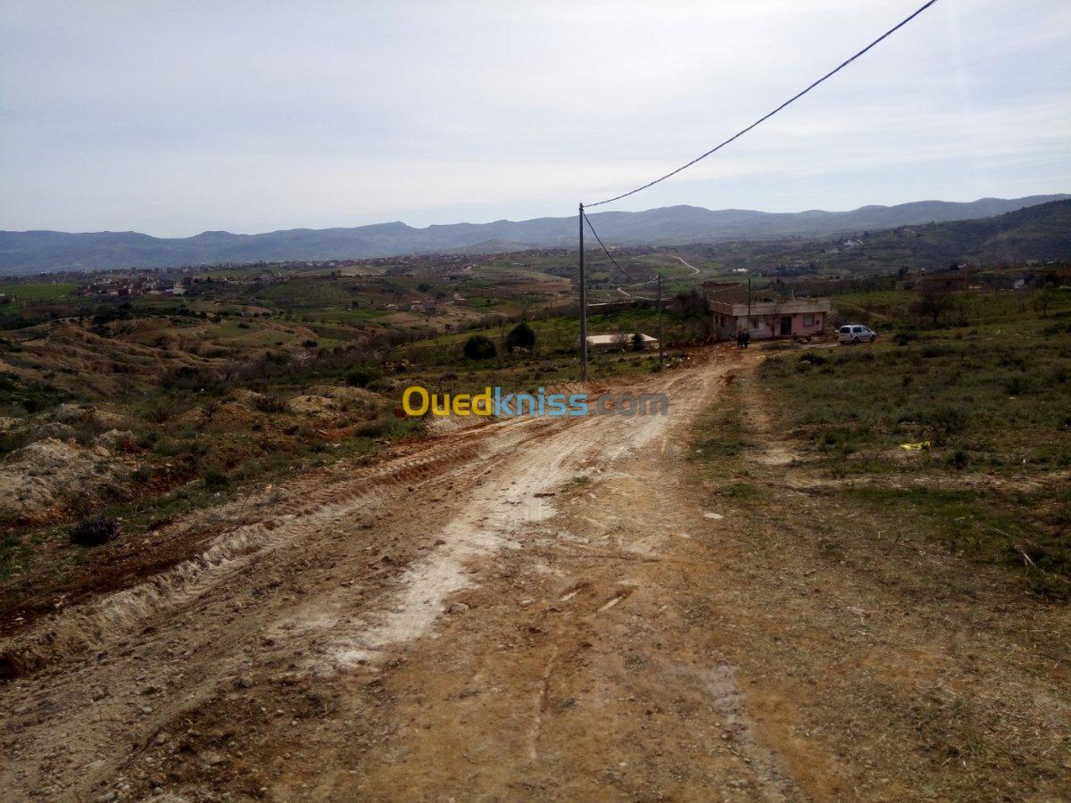 Vente Terrain Tlemcen Souahlia