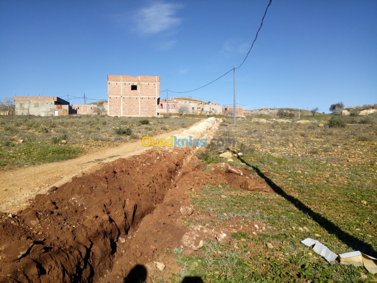 Vente Terrain Tlemcen Souahlia