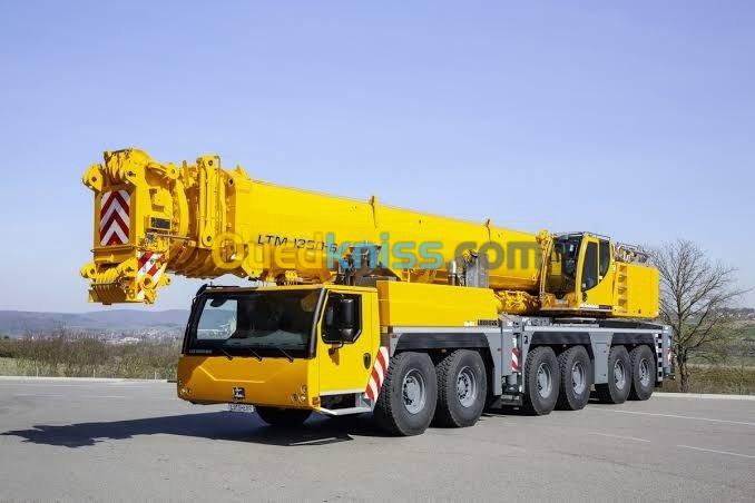  Location grue mobile 350T