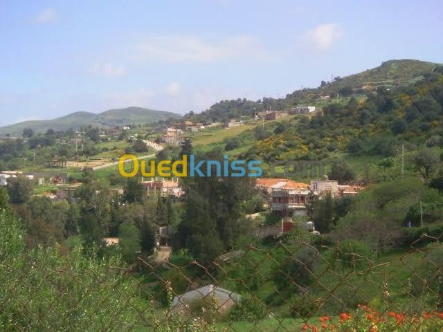 Vente Terrain Blida Djebara