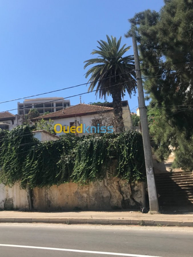 Vente Villa Alger Kouba