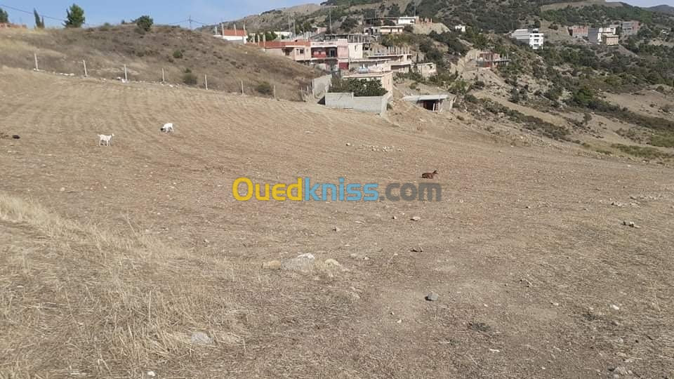 Vente Terrain Setif Beni ouartilene