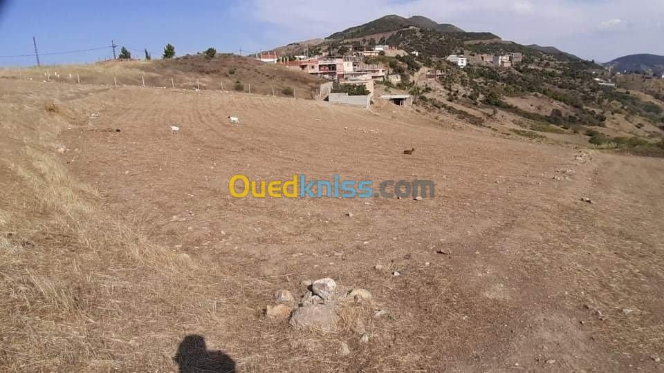 Vente Terrain Setif Beni ouartilene