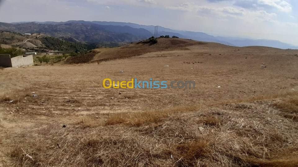 Vente Terrain Setif Beni ouartilene