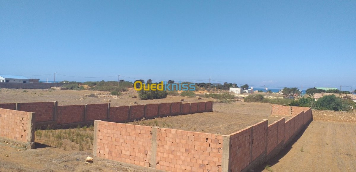 Vente Terrain Mostaganem Mostaganem