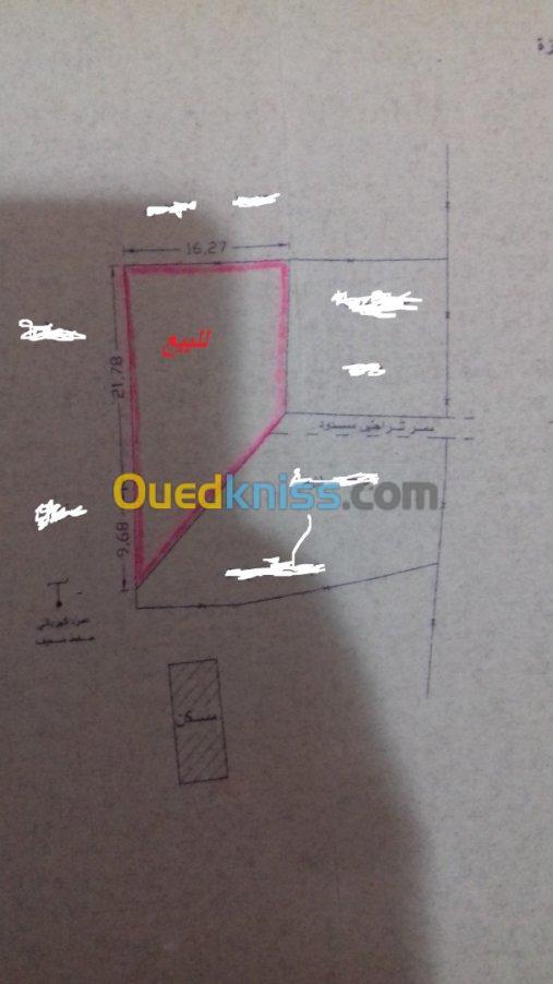 Vente Terrain Jijel El milia