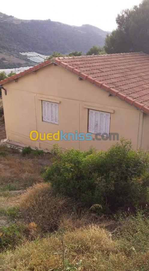 Location Appartement Tipaza Damous