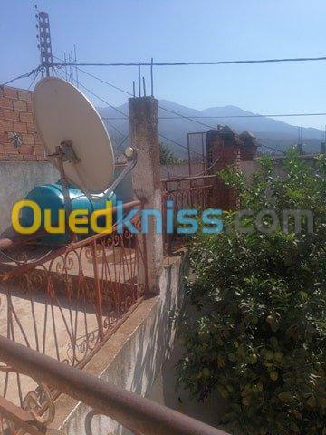 Vente Villa Blida Bouarfa