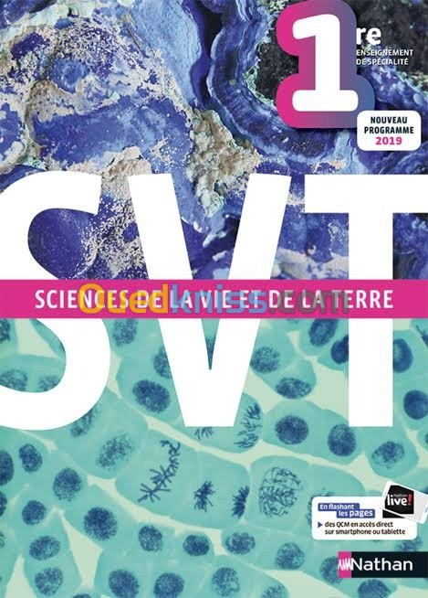 Cours de soutien SVT et grand oral 