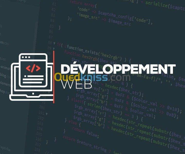 Développement  de site Web 