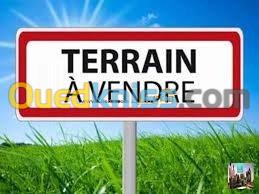 Vente Terrain Tizi ouzou Ain el hammam