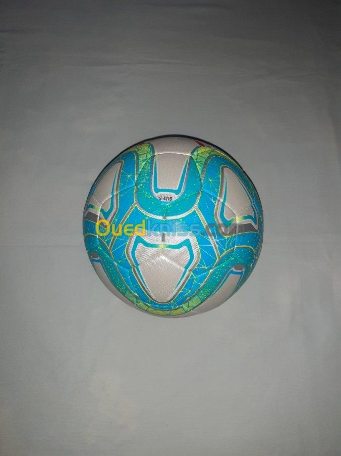 Balon puma