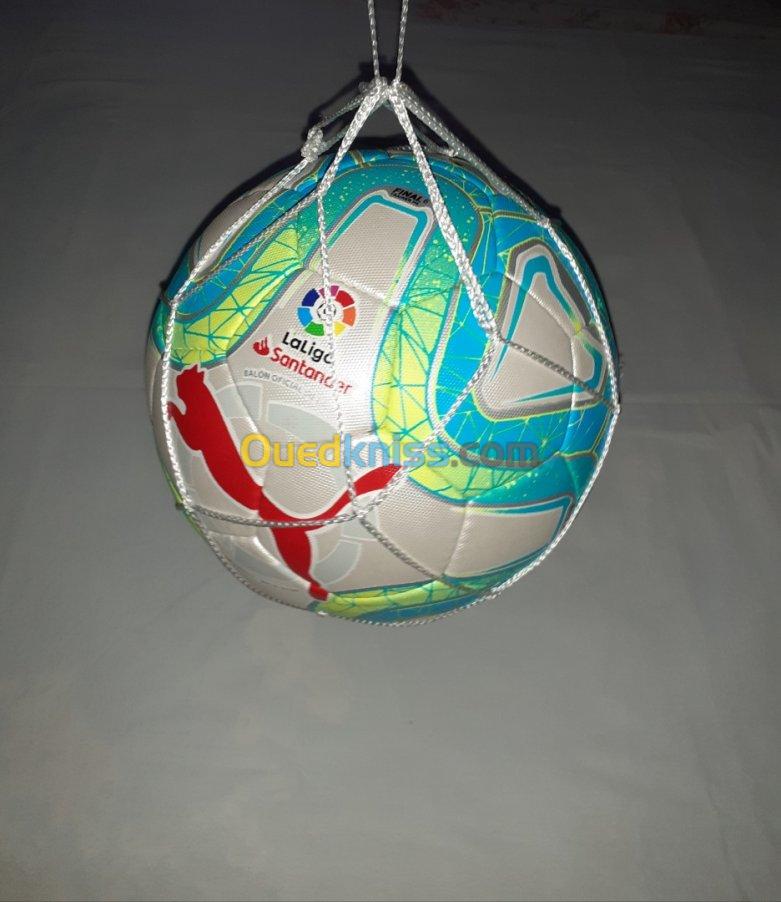 Balon puma