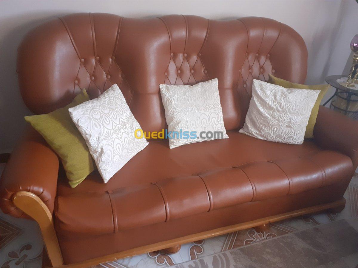 Fauteuils en cuir  