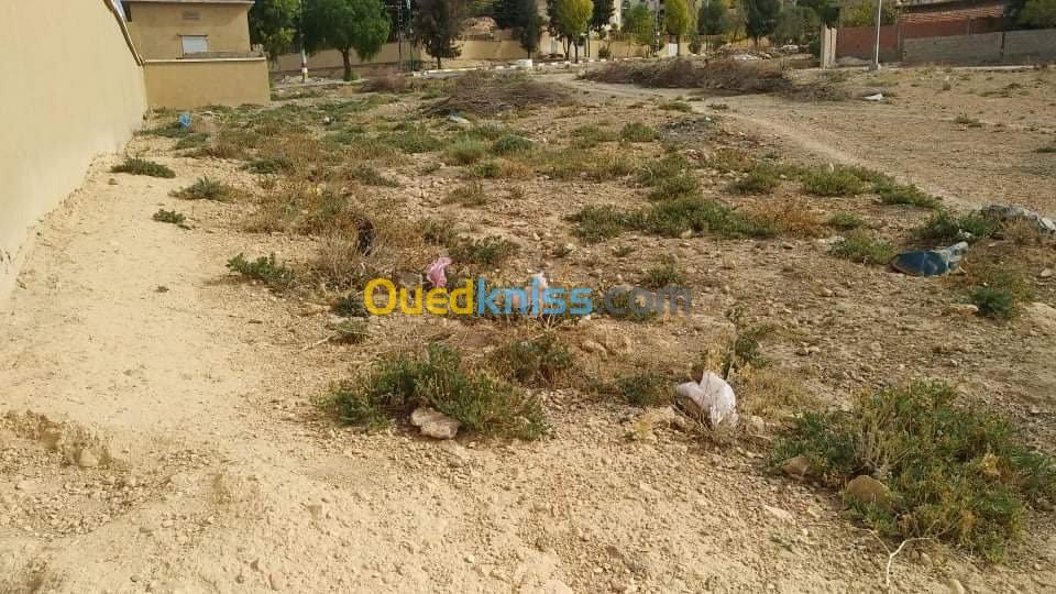 Vente Terrain Batna Ras el aioun