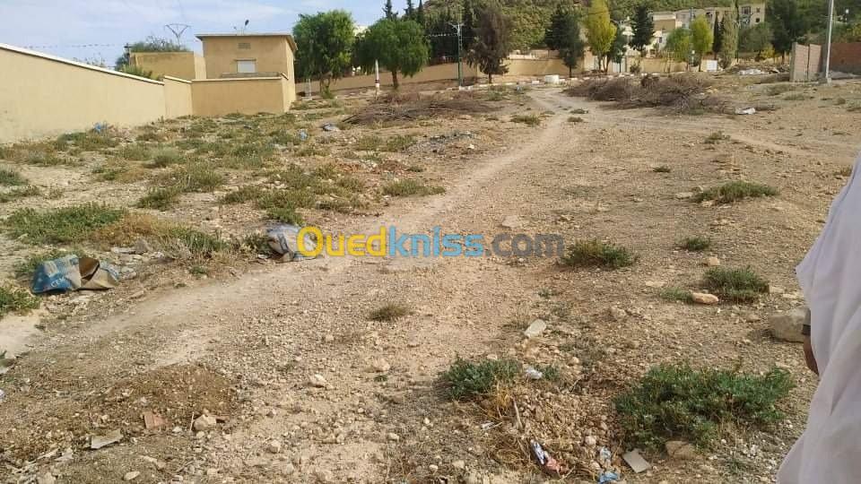 Vente Terrain Batna Ras el aioun