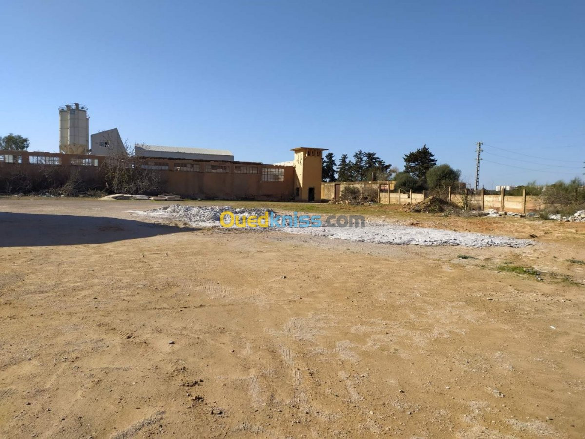 Vente Terrain Mostaganem Sayada