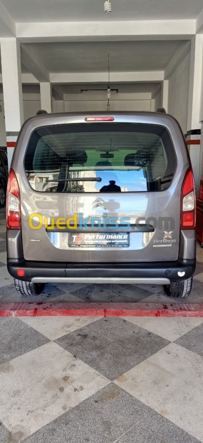 BERLINGO Désactivation adBlue FAP EGR