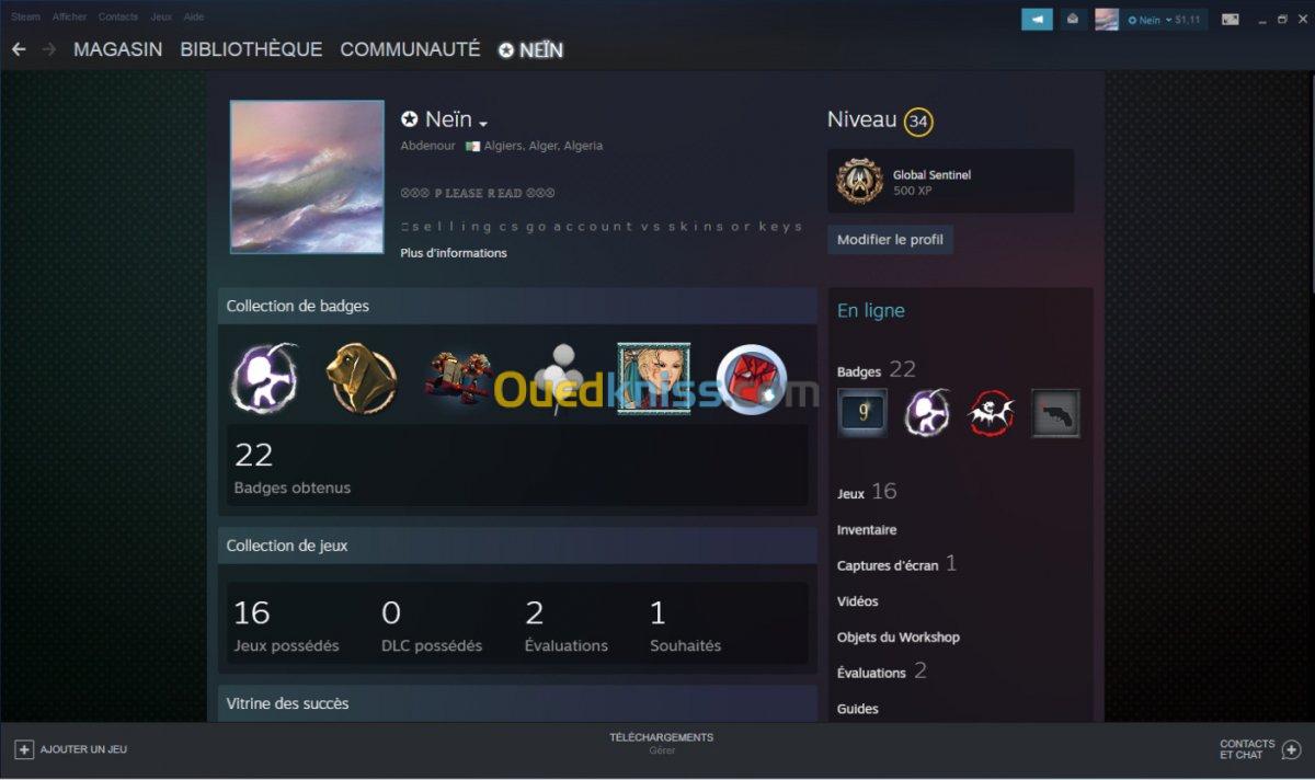 Compte steam lvl 34 with 16 games