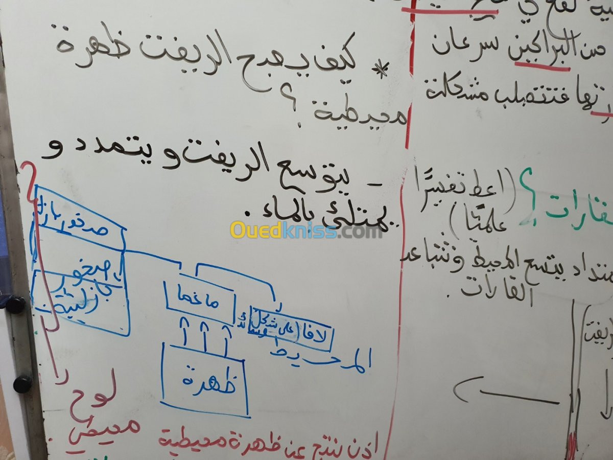 دروس خصوصية للبكالوريا و اىمتوسط 