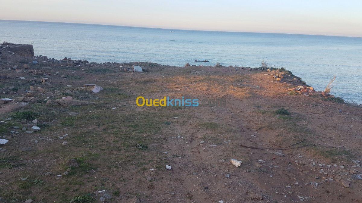 Vente Terrain Mostaganem Abdelmalek ramdane