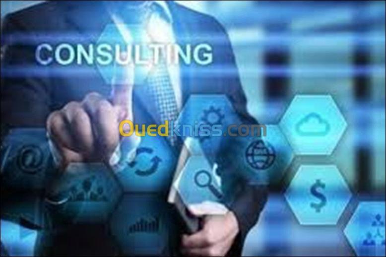 BUREAU D'ETUDE ET DE CONSULTING INFORM