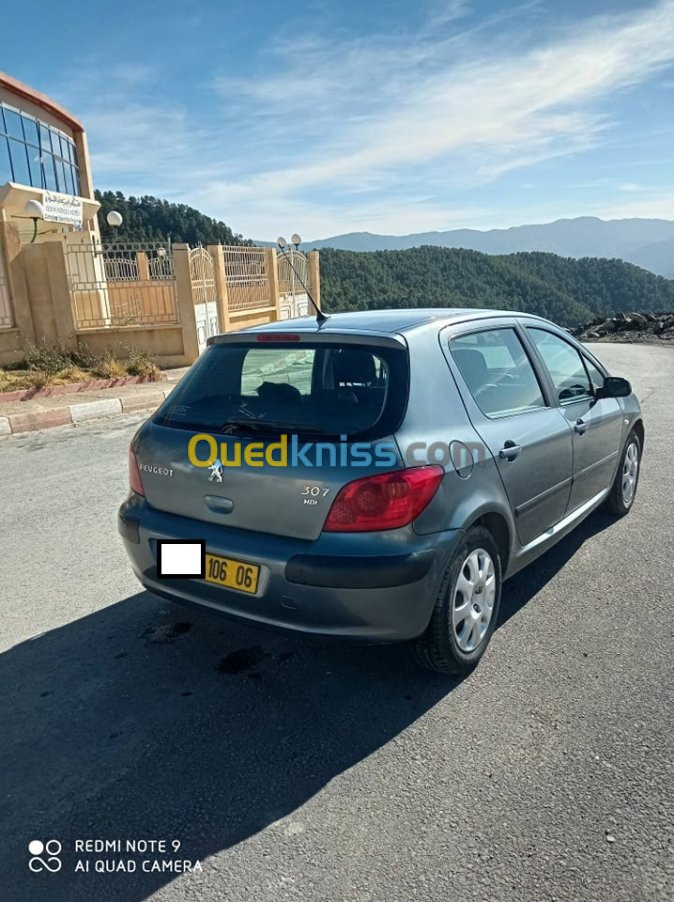 Peugeot 307 2006 